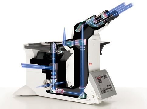 Optical path of an inverted microscope