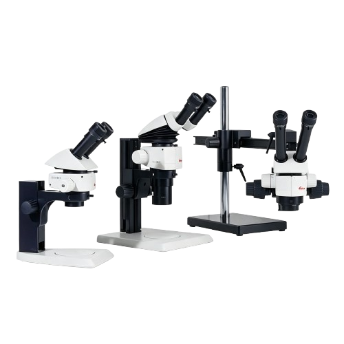 M50, M60 & M80 Leica M80 Stereo Microscope