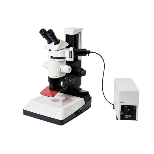 Leica MZ10 F Stereo Microscope
